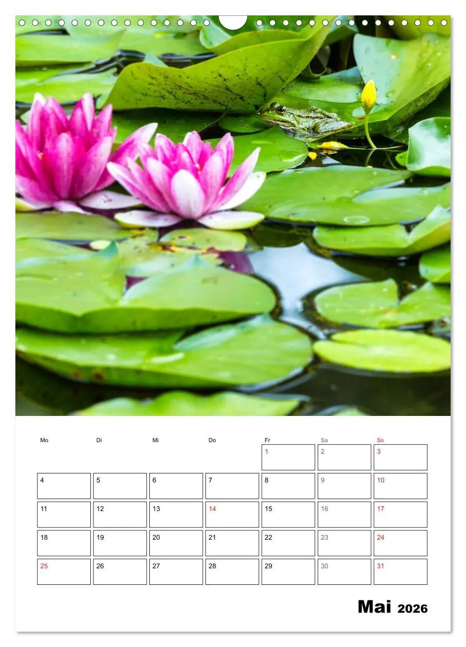 Bild: 9783516426878 | Farben der Natur (Wandkalender 2026 DIN A3 hoch), CALVENDO...