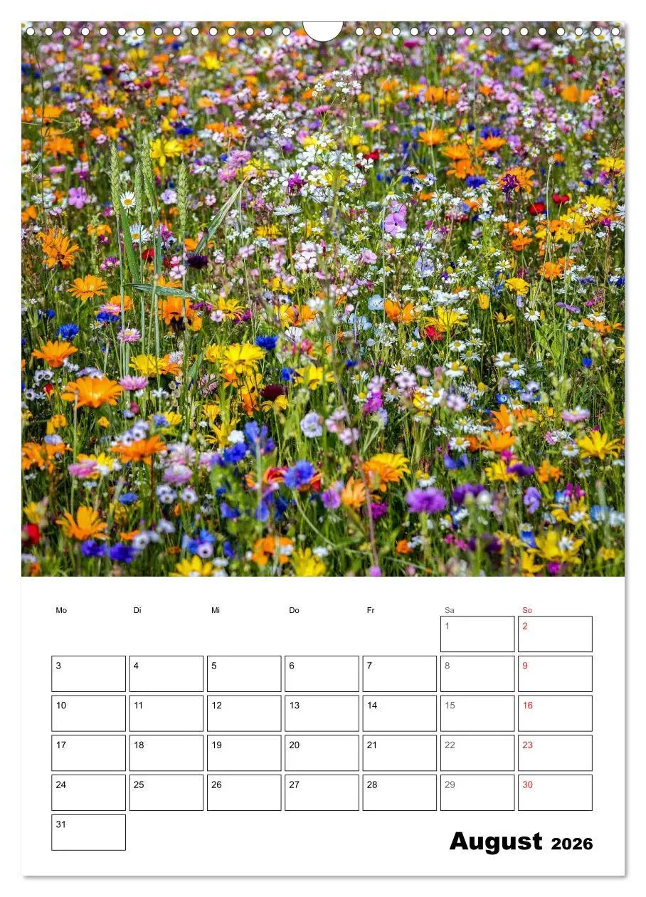 Bild: 9783516426878 | Farben der Natur (Wandkalender 2026 DIN A3 hoch), CALVENDO...