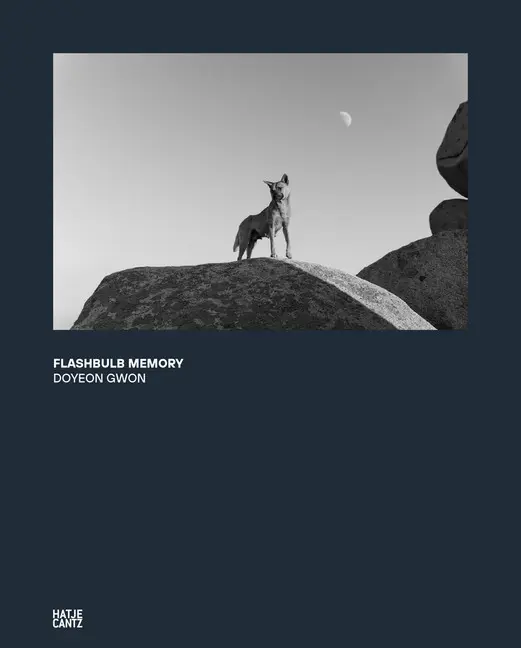 Cover: 9783775746878 | Doyeon Gwon | Flashbulb Memory | ILWOO Foundation | Buch | 176 S.