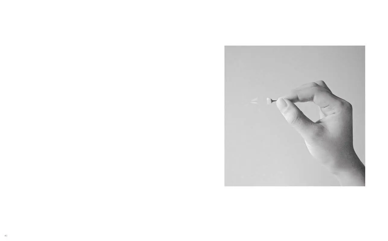 Bild: 9783775746878 | Doyeon Gwon | Flashbulb Memory | ILWOO Foundation | Buch | 176 S.