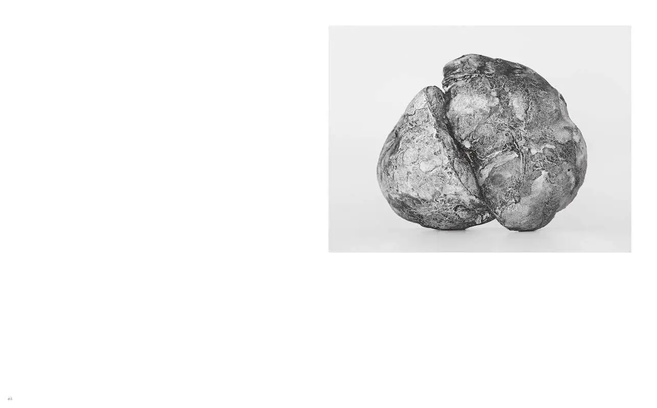 Bild: 9783775746878 | Doyeon Gwon | Flashbulb Memory | ILWOO Foundation | Buch | 176 S.