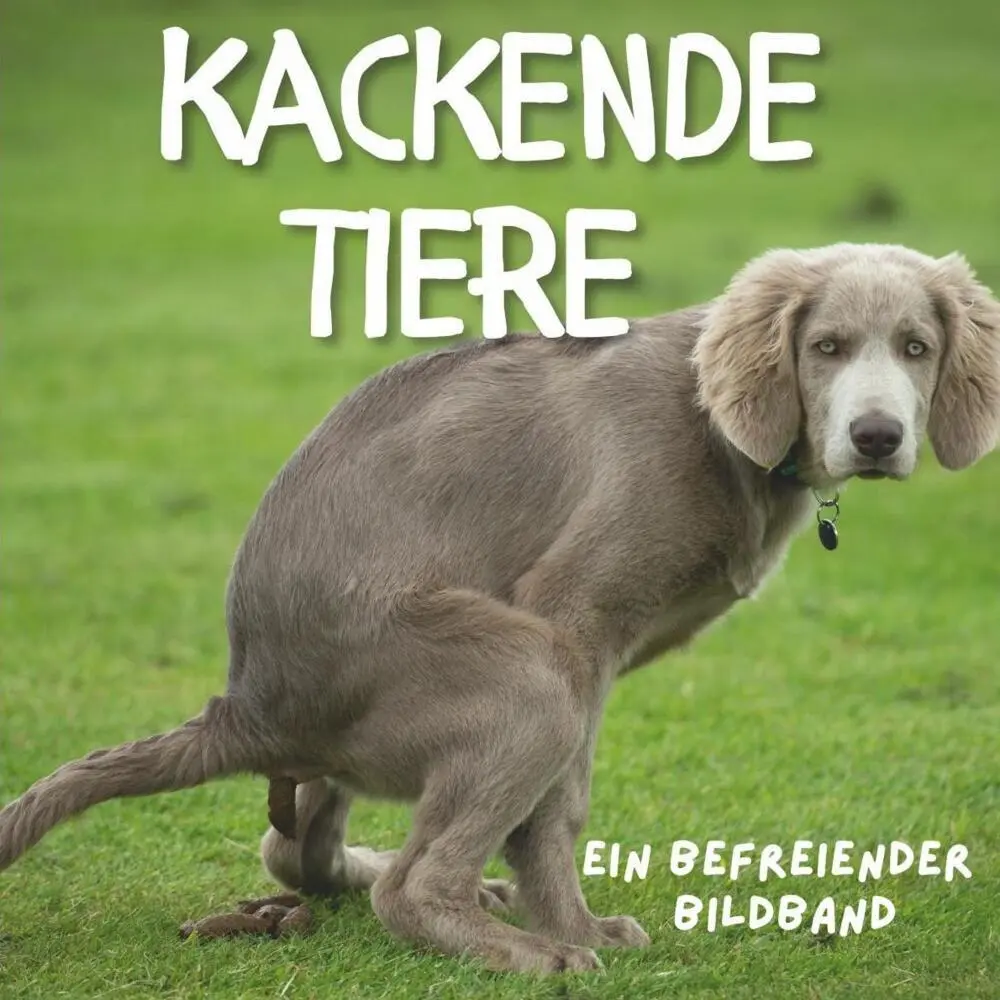 Cover: 9783750506978 | Kackende Tiere | Ein befreiender Bildband | Tim Fröhlich | Taschenbuch