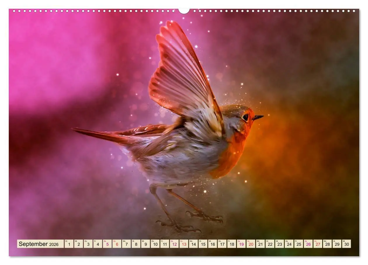 Bild: 9783457837078 | Bei uns im Garten - Rotkehlchen (Wandkalender 2026 DIN A2 quer),...