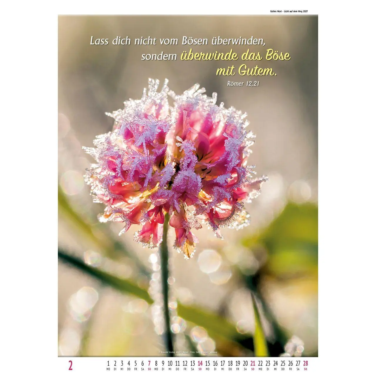 Bild: 9783754837078 | Gottes Wort - Licht auf dem Weg 2027 | Wandkalender | Kalender | 14 S.