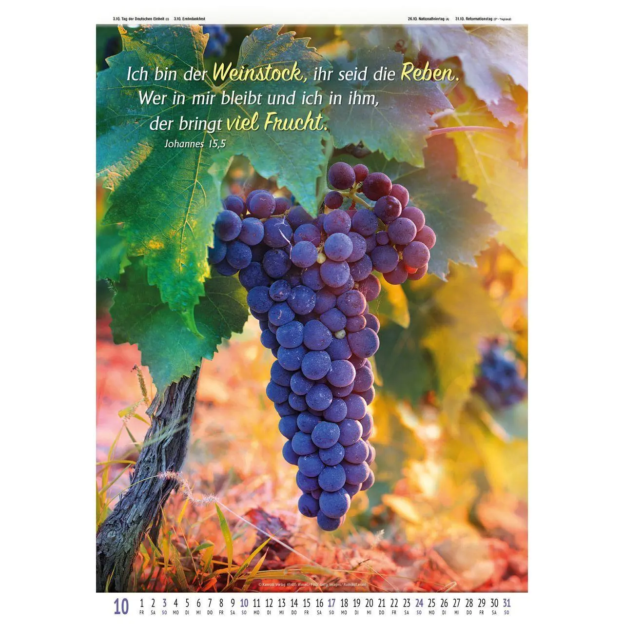 Bild: 9783754837078 | Gottes Wort - Licht auf dem Weg 2027 | Wandkalender | Kalender | 14 S.