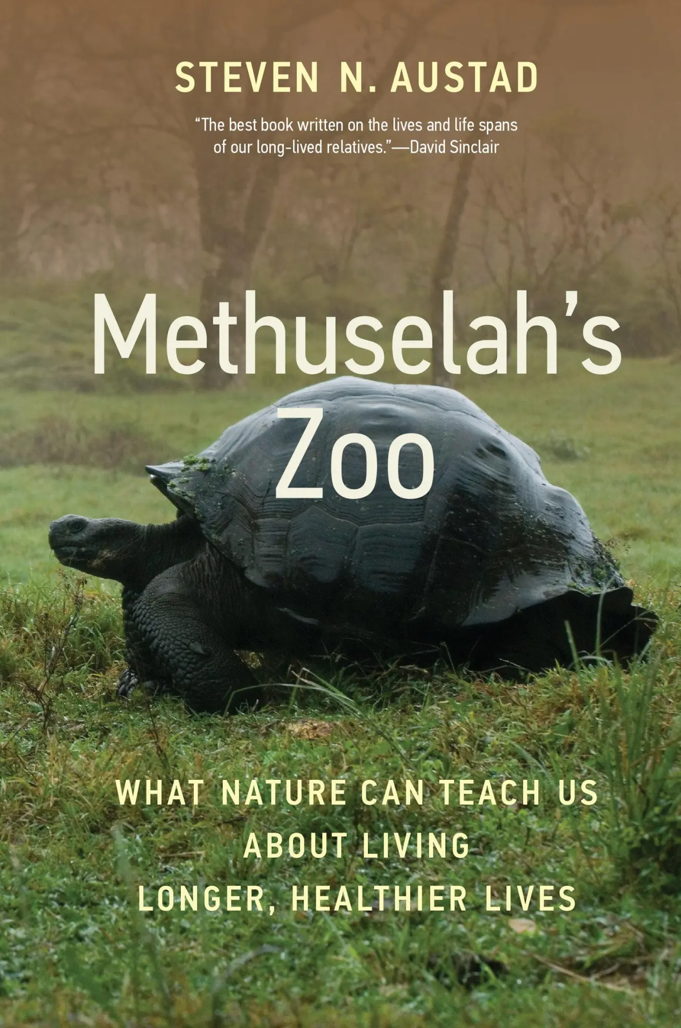 Cover: 9780262547178 | Methuselah's Zoo | Steven N Austad | Taschenbuch | Englisch | 2023 Cover: 9780262547178 | Methuselah's Zoo | Steven N Austad | Taschenbuch | Englisch | 2023