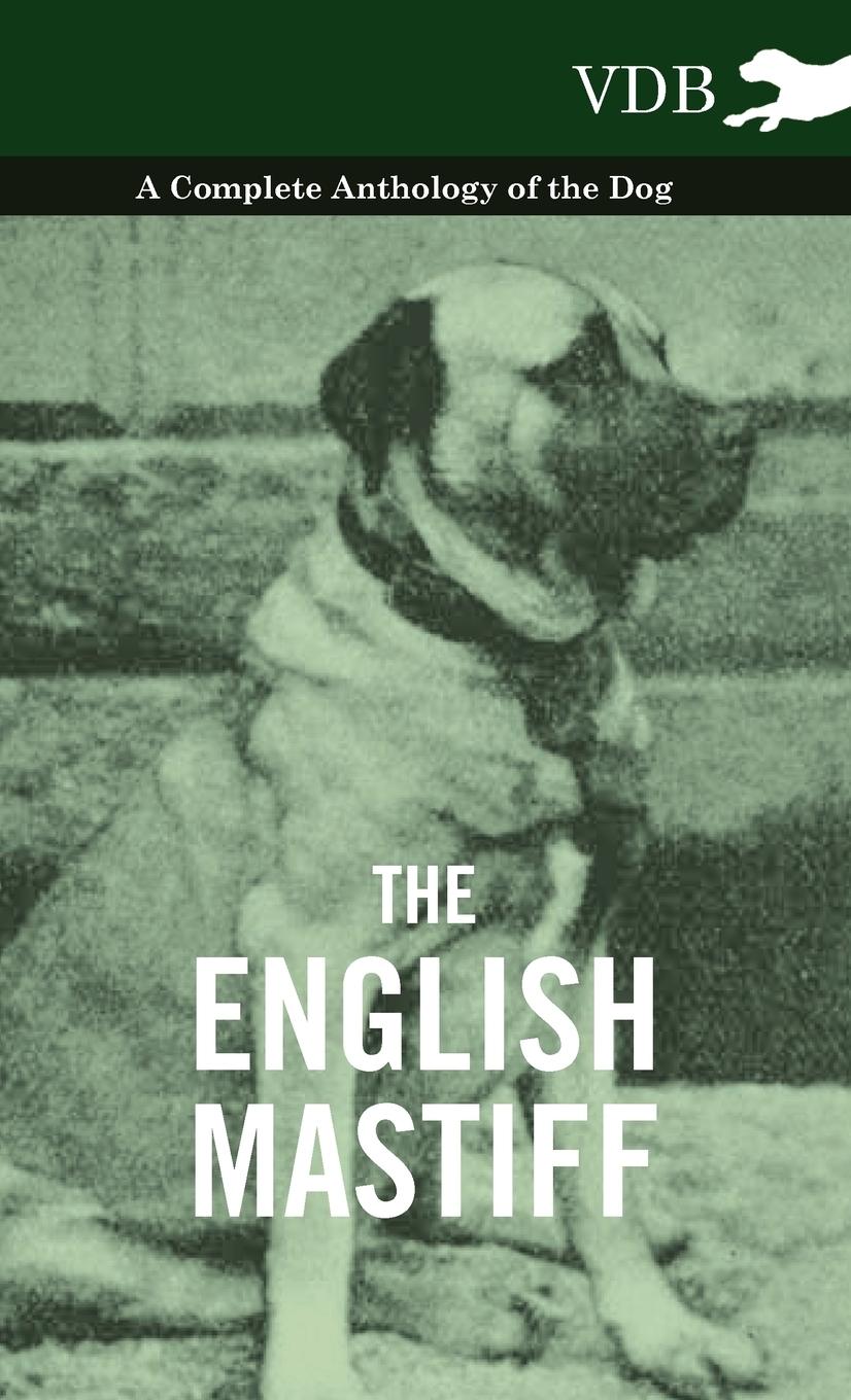 The English Mastiff - A Complete Anthology of the Dog | Various | Buch | HC gerader Rücken kaschiert | Englisch | 2010 | Vintage Dog Books | EAN 9781445527178 - Various