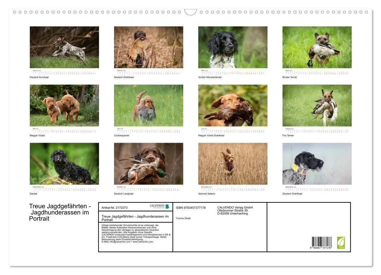 Bild: 9783457377178 | Treue Jagdgefährten - Jagdhunderassen im Portrait (Wandkalender...
