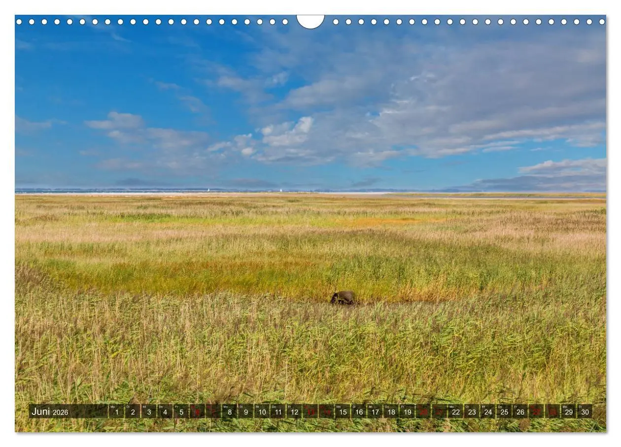 Bild: 9783457757178 | Impressionen von der Ostsee Fischland-Darß-Zingst (Wandkalender...