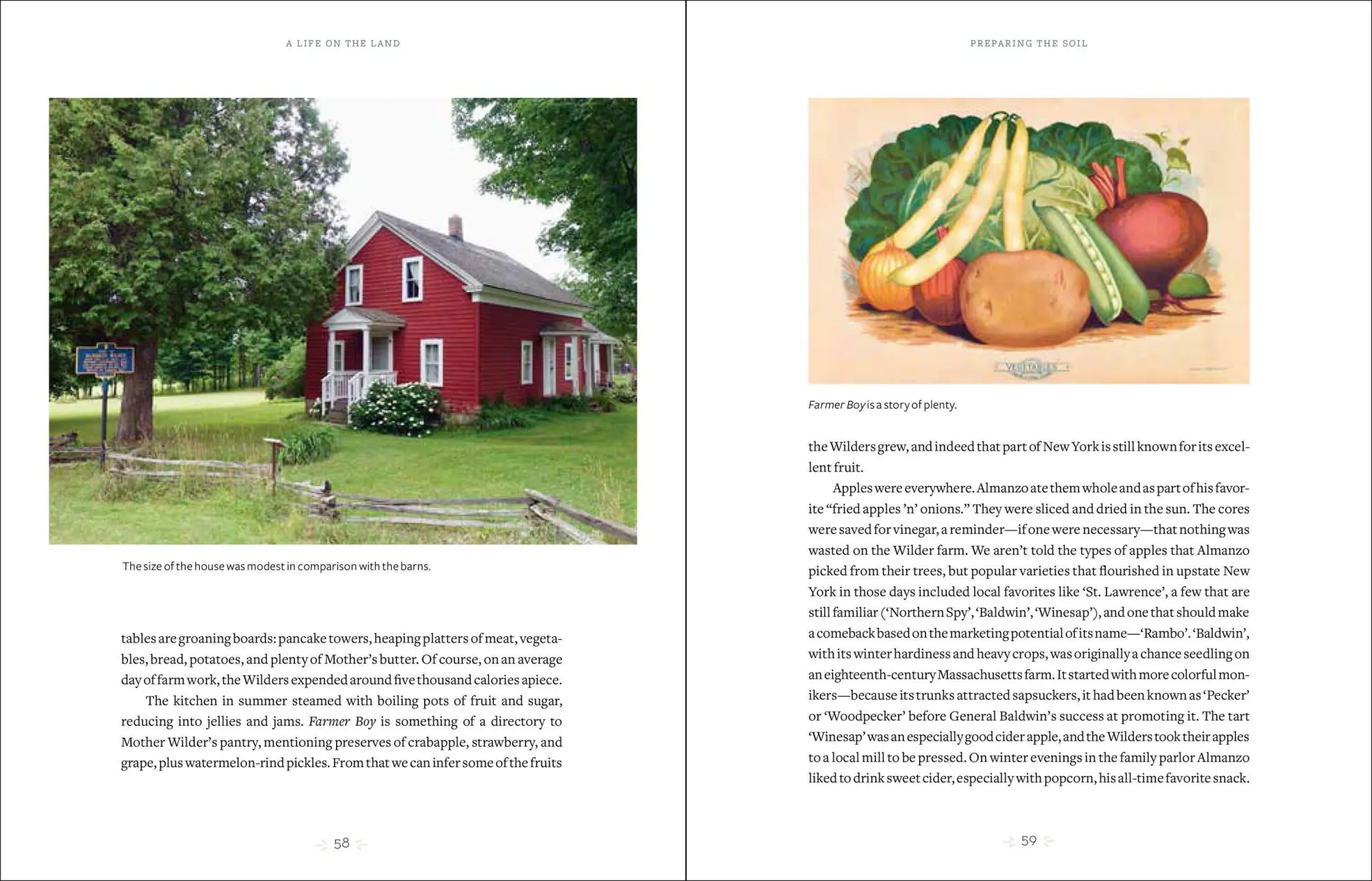 Bild: 9781604697278 | The World of Laura Ingalls Wilder | Marta Mcdowell | Buch | Gebunden