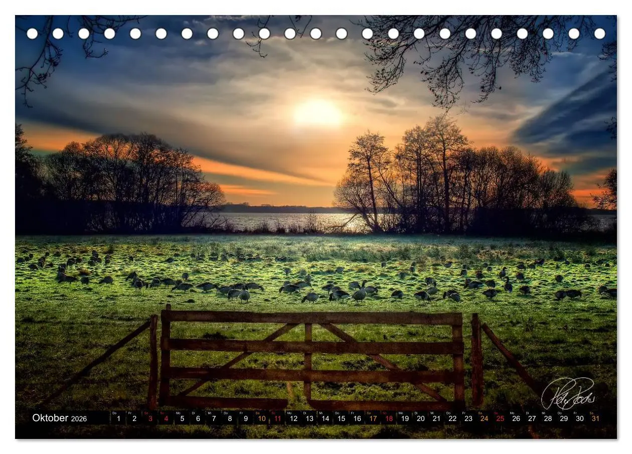 Bild: 9783516147278 | Am Zwischenahner Meer (Tischkalender 2026 DIN A5 quer), CALVENDO...