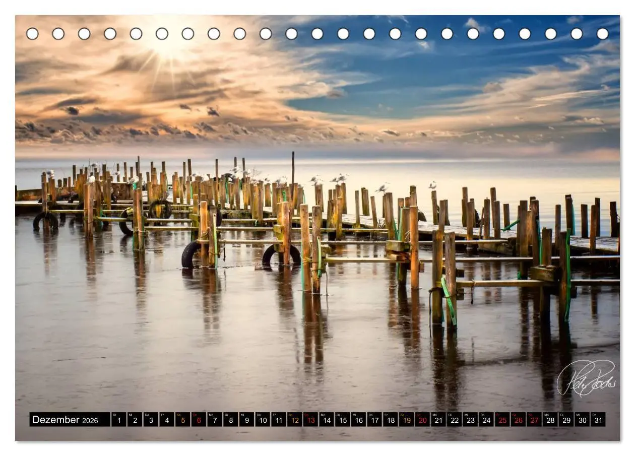 Bild: 9783516147278 | Am Zwischenahner Meer (Tischkalender 2026 DIN A5 quer), CALVENDO...