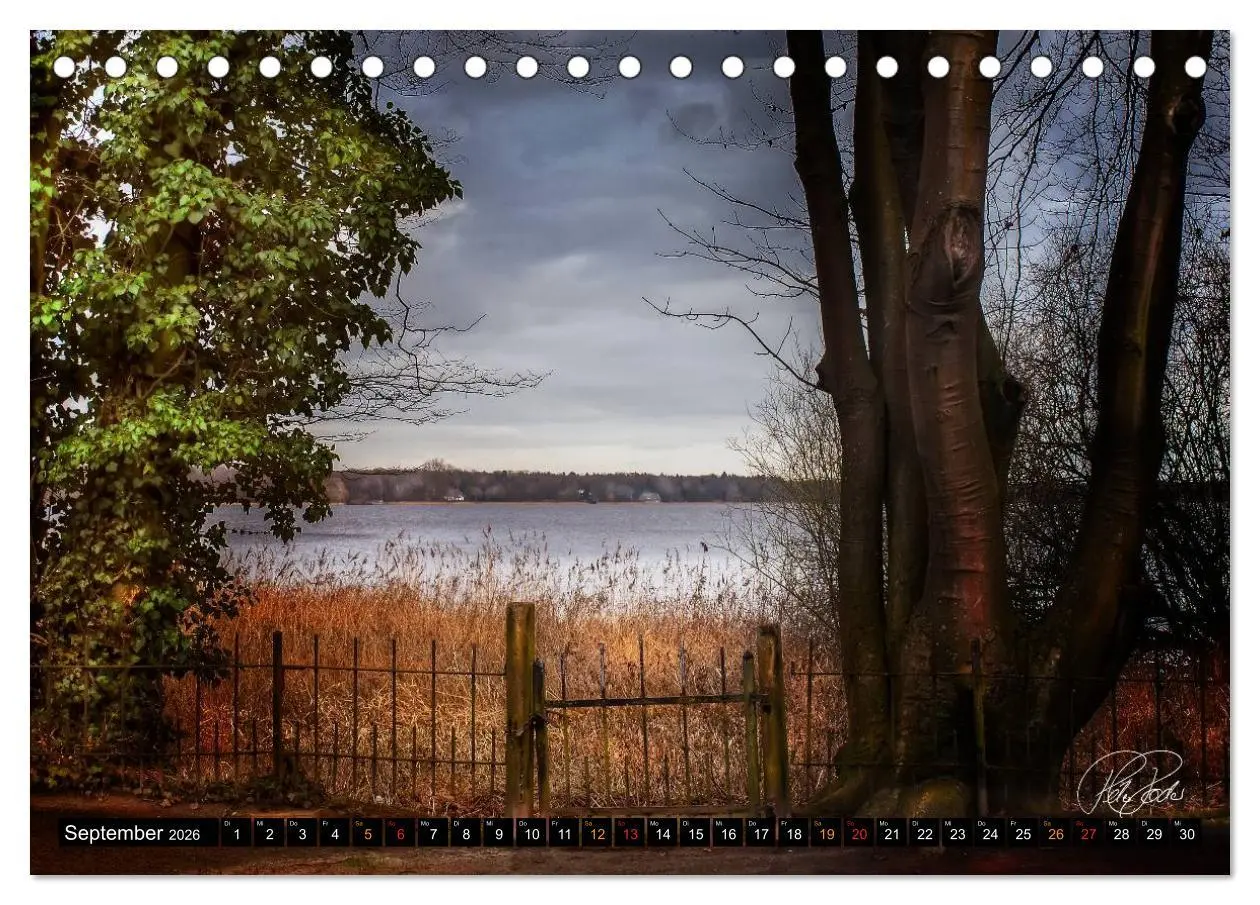 Bild: 9783516147278 | Am Zwischenahner Meer (Tischkalender 2026 DIN A5 quer), CALVENDO...