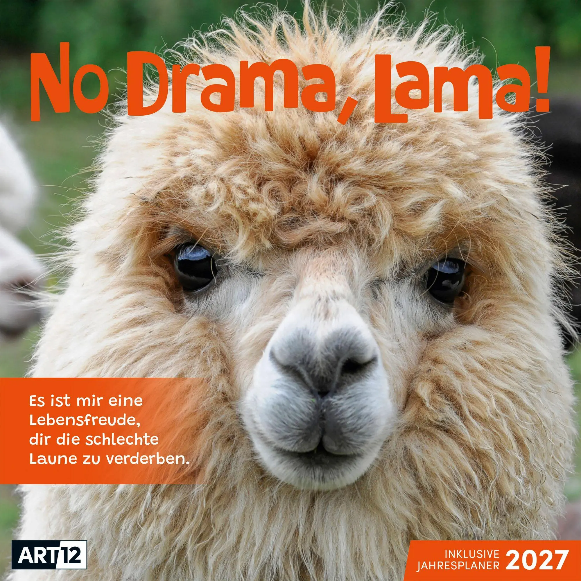 Cover: 9783838447278 | No Drama, Lama Kalender 2027 - 30x30 - Art12 | GmbH | Kalender | 28 S.