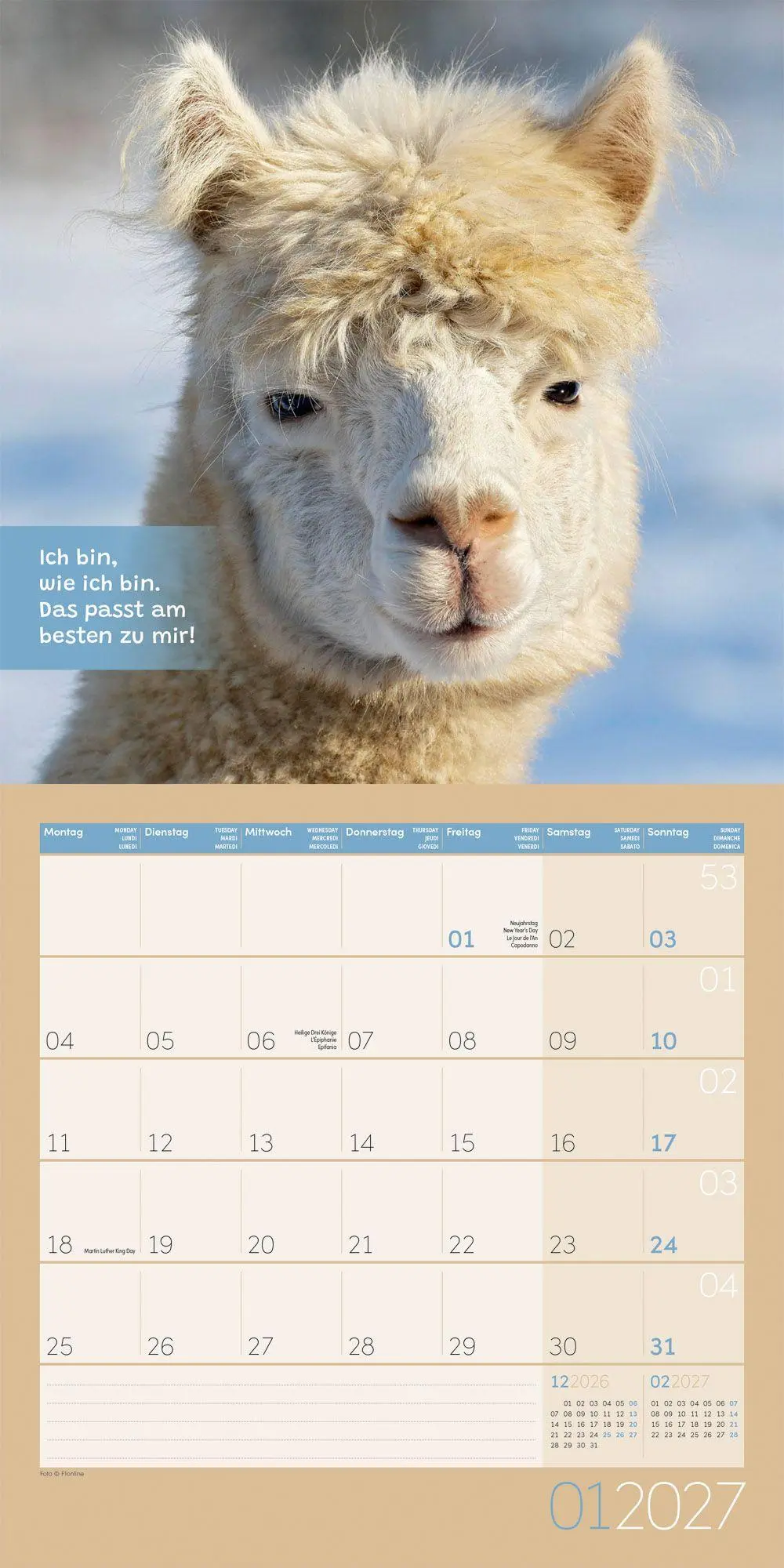 Bild: 9783838447278 | No Drama, Lama Kalender 2027 - 30x30 - Art12 | GmbH | Kalender | 28 S.