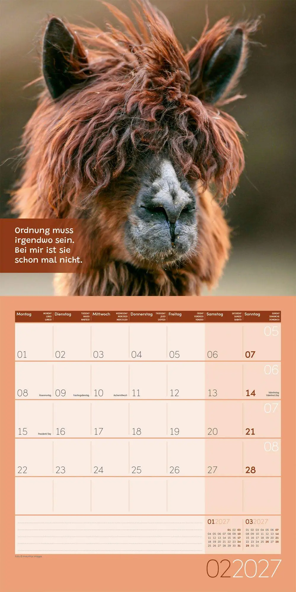 Bild: 9783838447278 | No Drama, Lama Kalender 2027 - 30x30 - Art12 | GmbH | Kalender | 28 S.