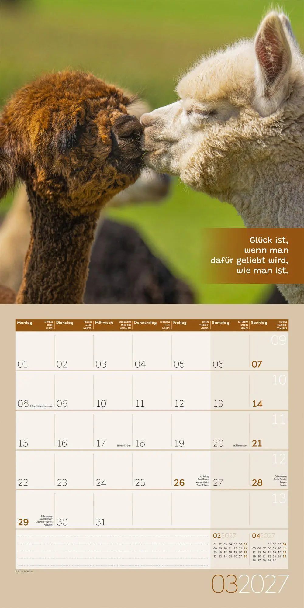 Bild: 9783838447278 | No Drama, Lama Kalender 2027 - 30x30 - Art12 | GmbH | Kalender | 28 S.