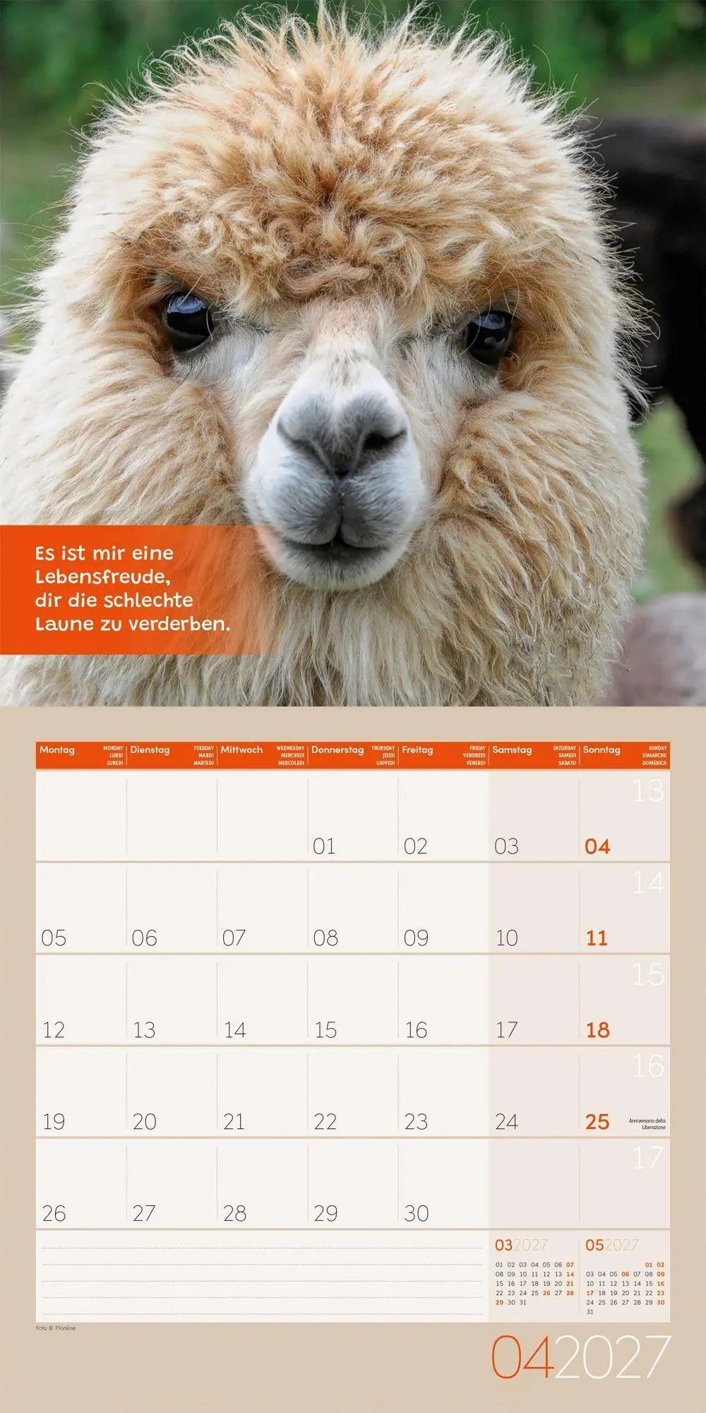 Bild: 9783838447278 | No Drama, Lama Kalender 2027 - 30x30 - Art12 | GmbH | Kalender | 28 S.
