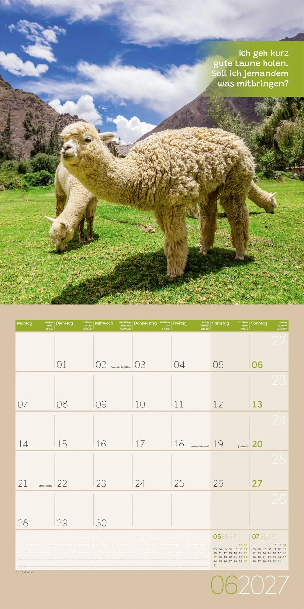 Bild: 9783838447278 | No Drama, Lama Kalender 2027 - 30x30 - Art12 | GmbH | Kalender | 28 S.