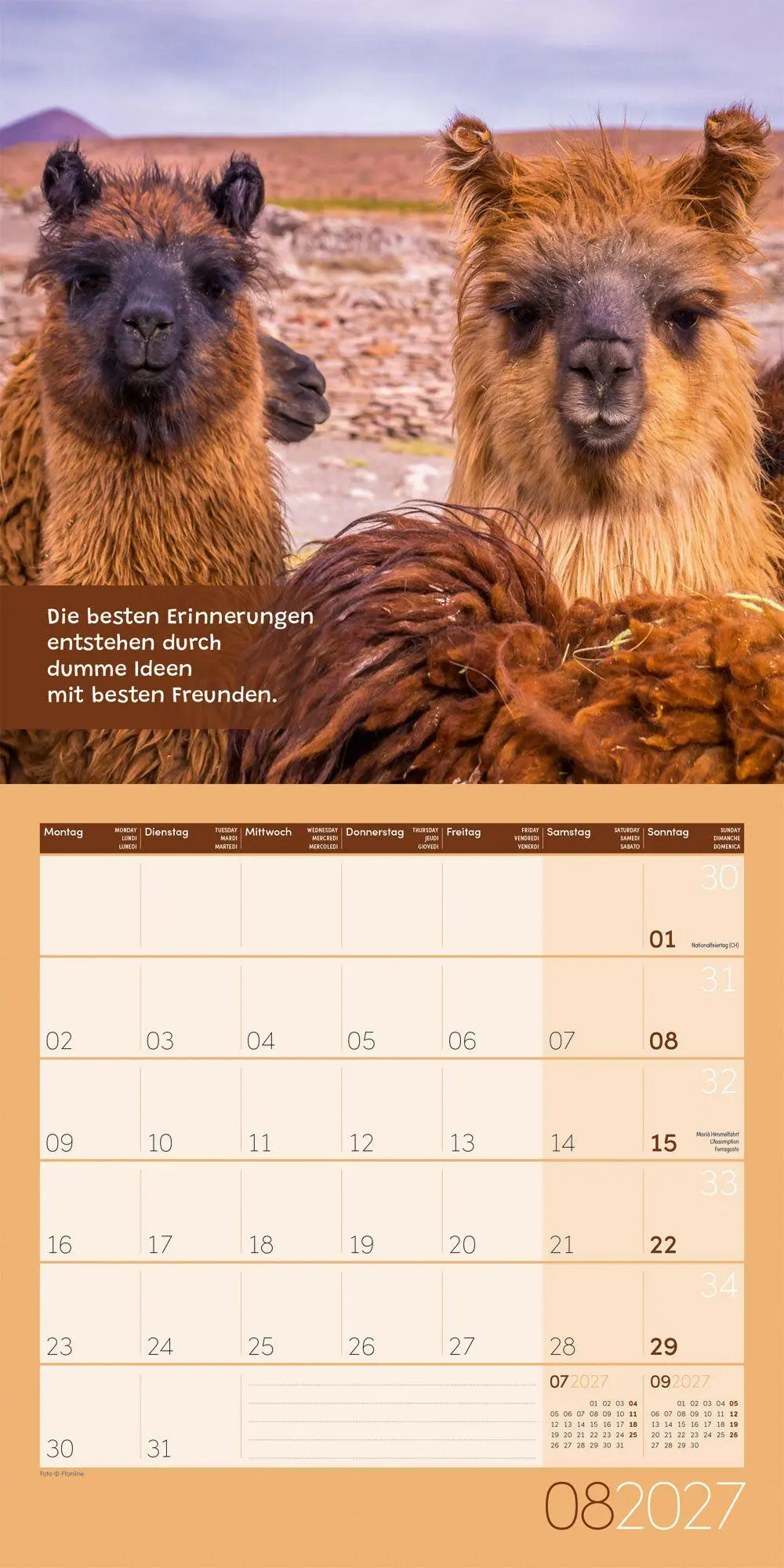 Bild: 9783838447278 | No Drama, Lama Kalender 2027 - 30x30 - Art12 | GmbH | Kalender | 28 S.
