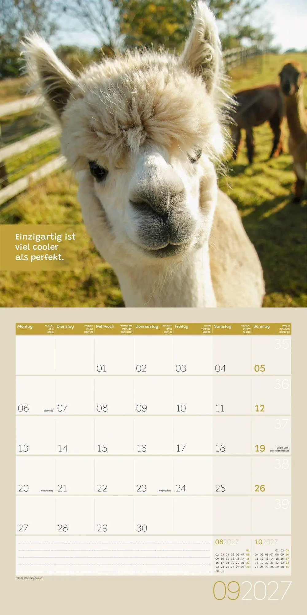 Bild: 9783838447278 | No Drama, Lama Kalender 2027 - 30x30 - Art12 | GmbH | Kalender | 28 S.