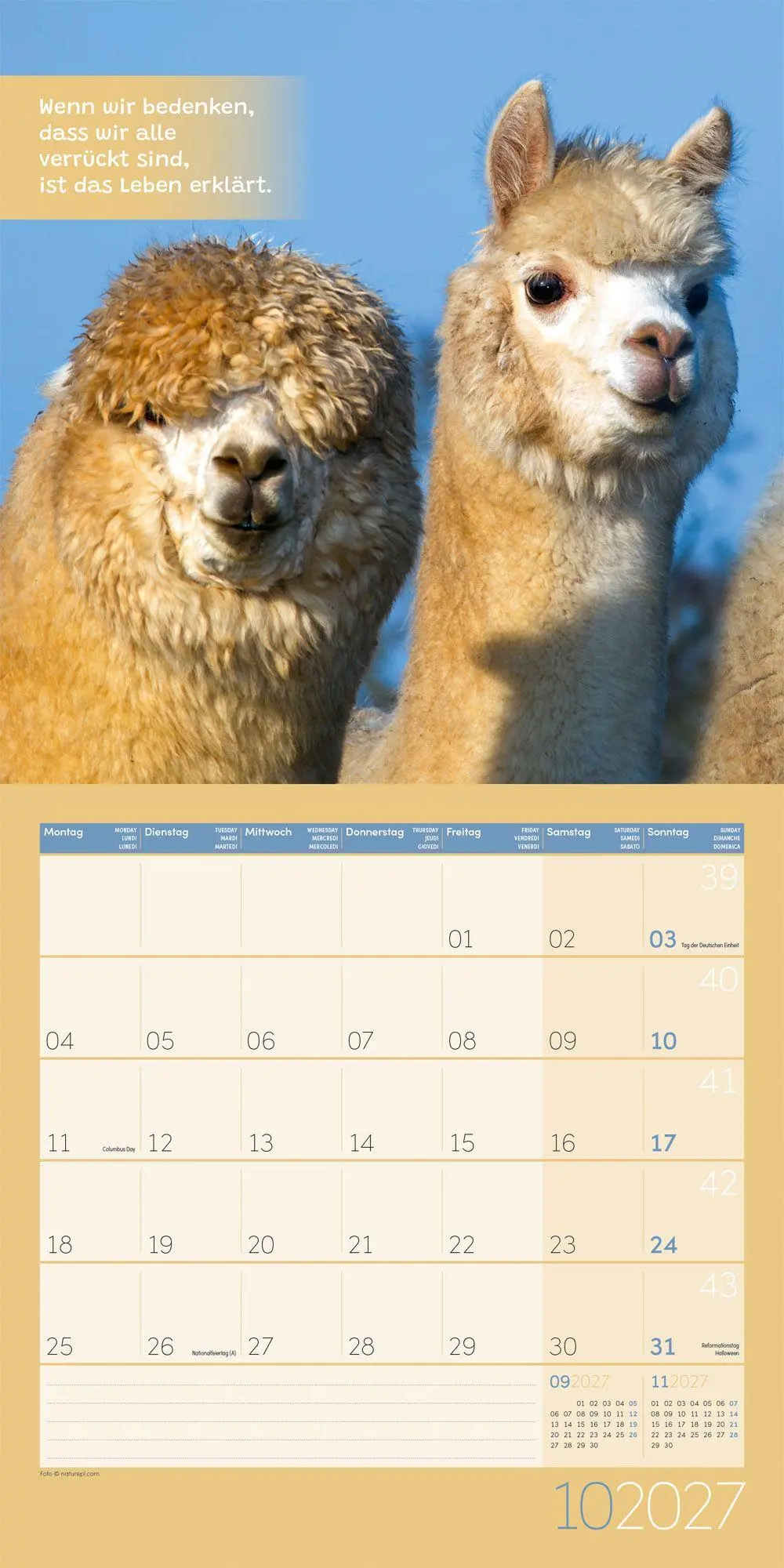Bild: 9783838447278 | No Drama, Lama Kalender 2027 - 30x30 - Art12 | GmbH | Kalender | 28 S.