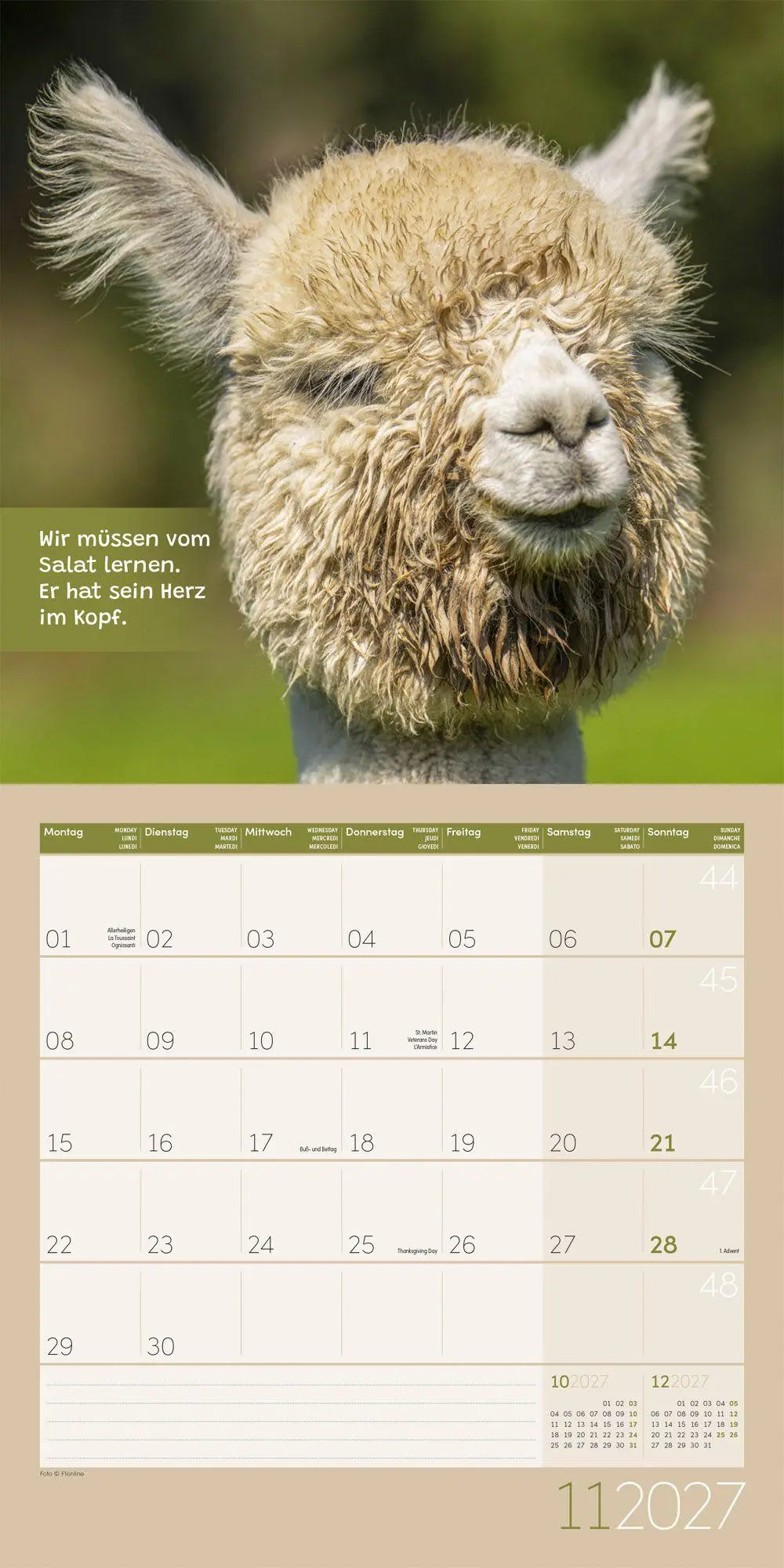 Bild: 9783838447278 | No Drama, Lama Kalender 2027 - 30x30 - Art12 | GmbH | Kalender | 28 S.