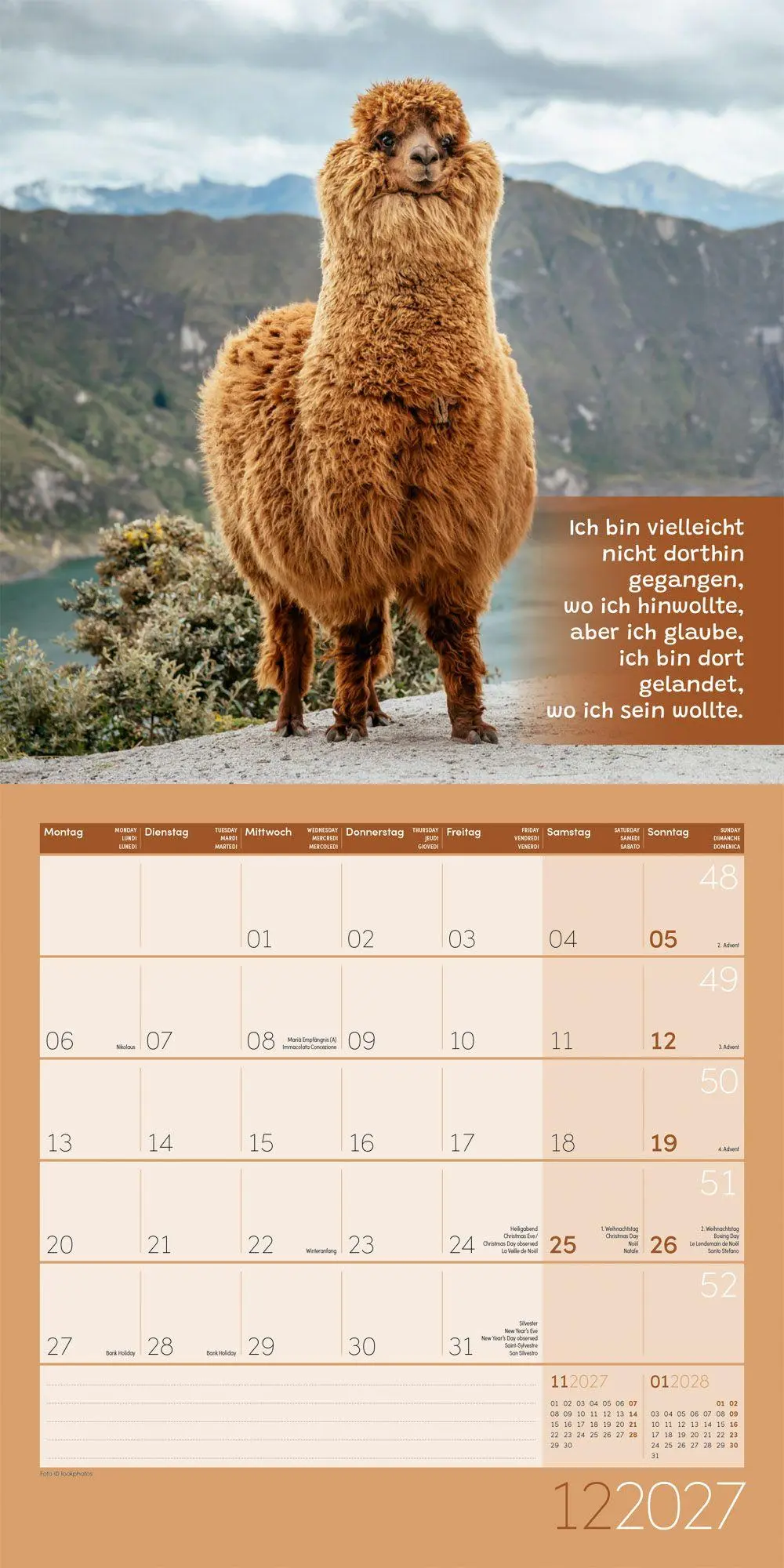Bild: 9783838447278 | No Drama, Lama Kalender 2027 - 30x30 - Art12 | GmbH | Kalender | 28 S.