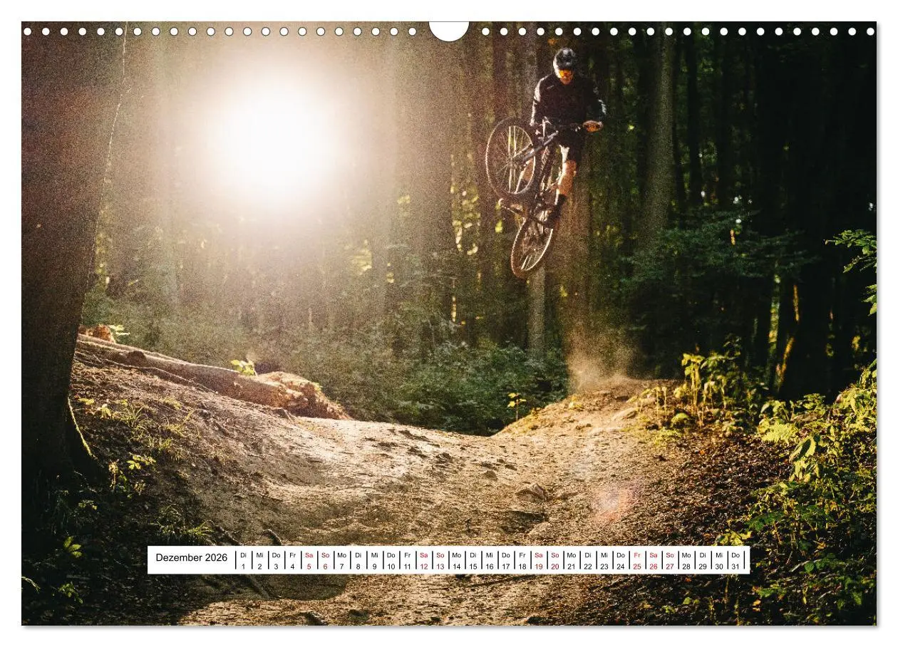 Bild: 9783457667378 | Mountainbike Trail-Action (Wandkalender 2026 DIN A3 quer), CALVENDO...