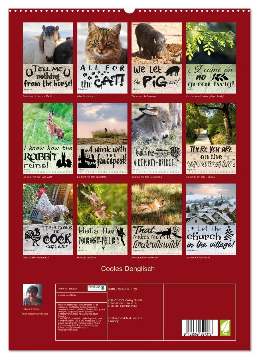 Bild: 9783569397378 | Cooles Denglisch (hochwertiger Premium Wandkalender 2027 DIN A2...