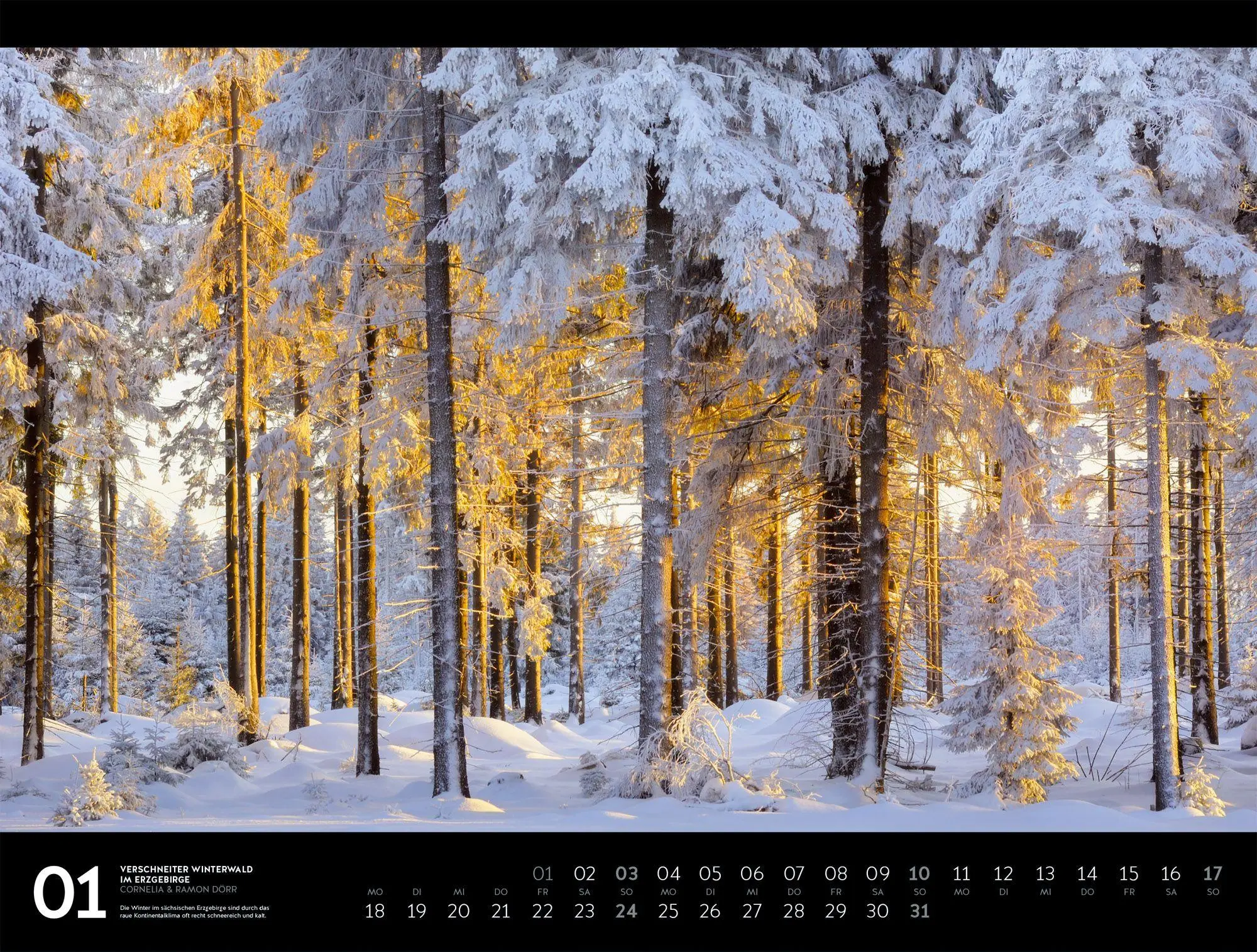 Bild: 9783838437378 | Naturparadies Deutschland Signature Kalender 2027 | Dörr (u. a.)