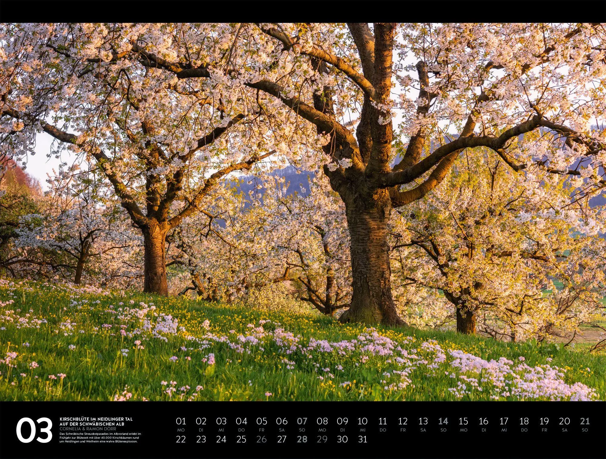 Bild: 9783838437378 | Naturparadies Deutschland Signature Kalender 2027 | Dörr (u. a.)