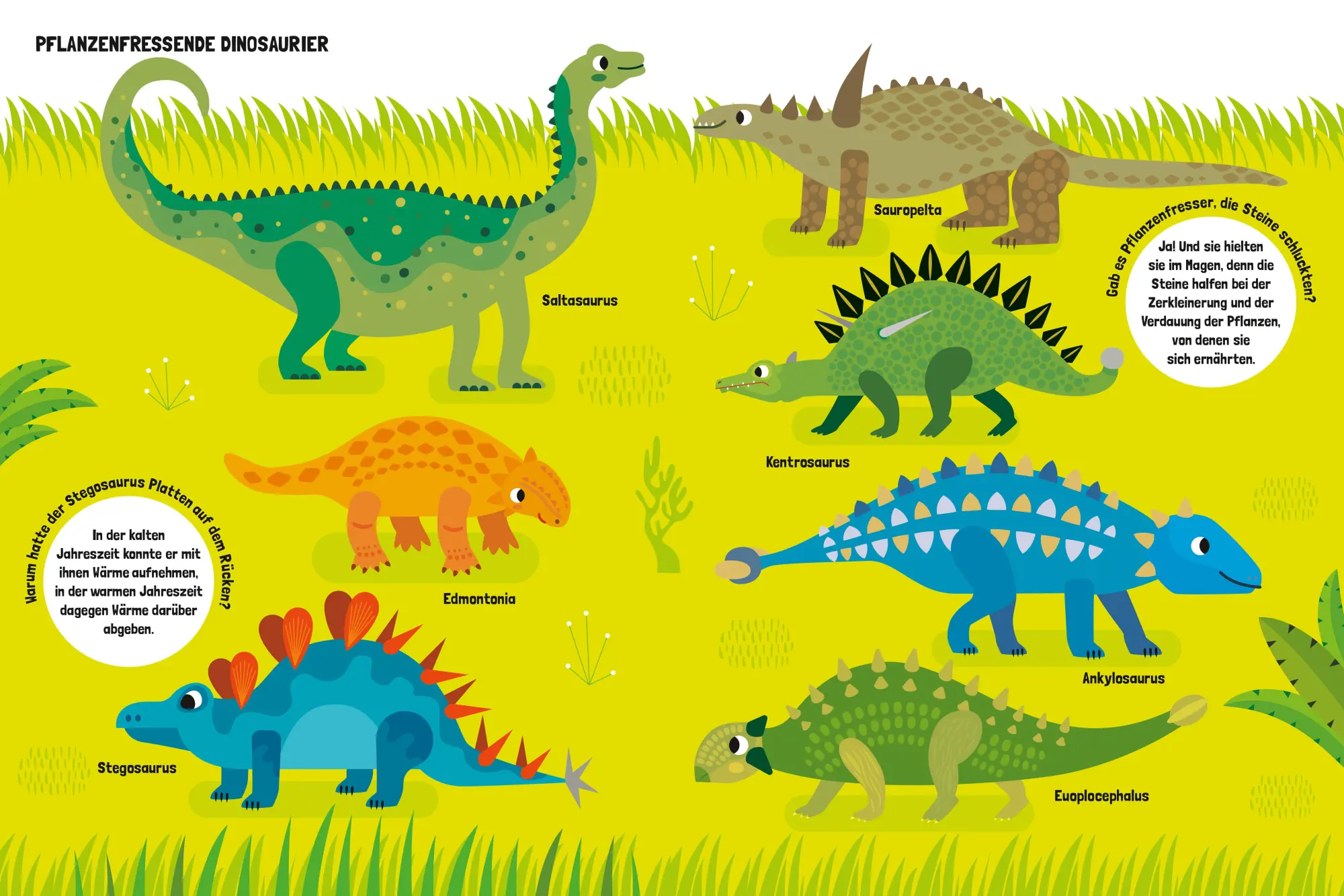Bild: 9788863127478 | Mein großes Dinosaurierbuch | Claudia Theis-Passaro | Buch | 20 S.