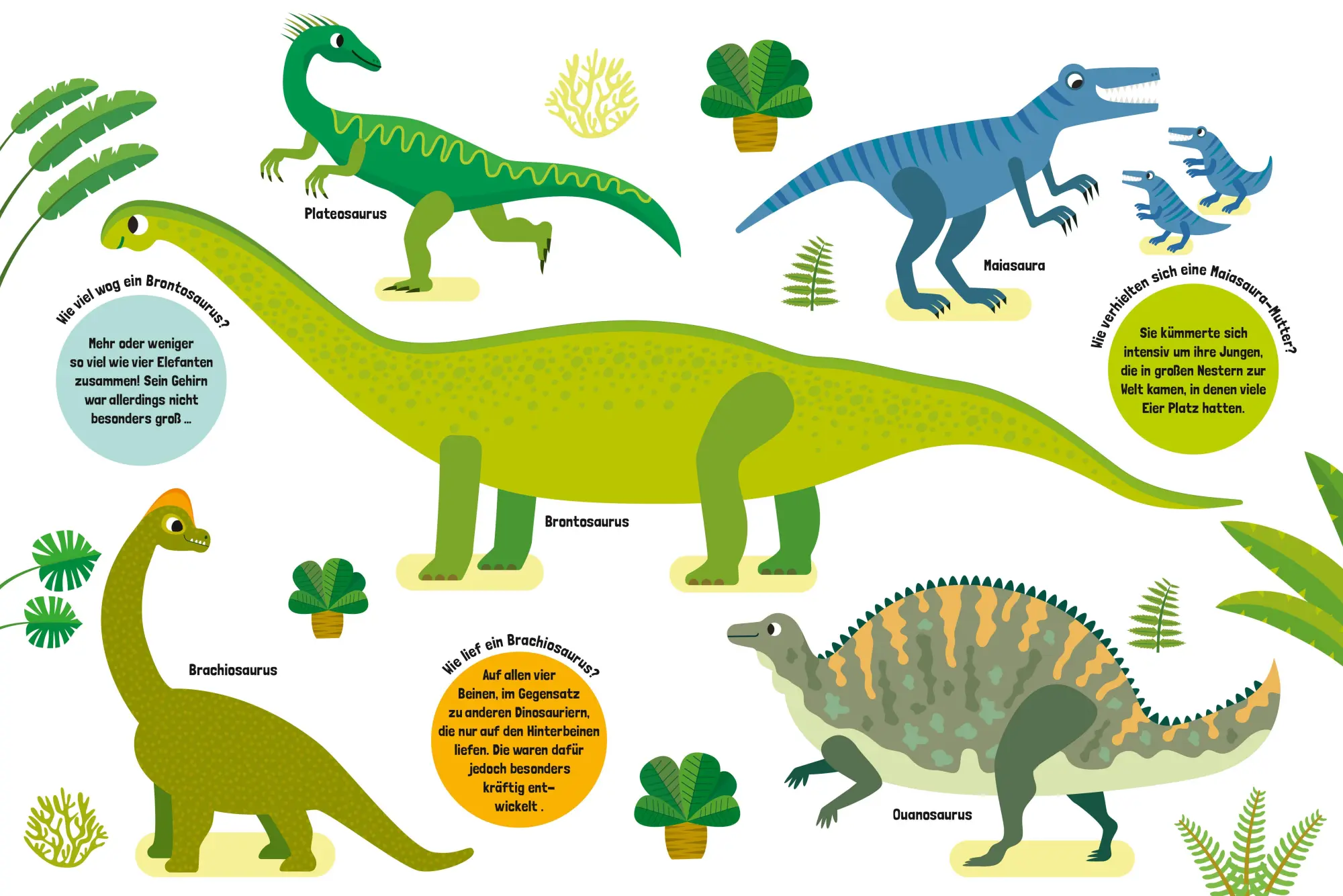 Bild: 9788863127478 | Mein großes Dinosaurierbuch | Claudia Theis-Passaro | Buch | 20 S.