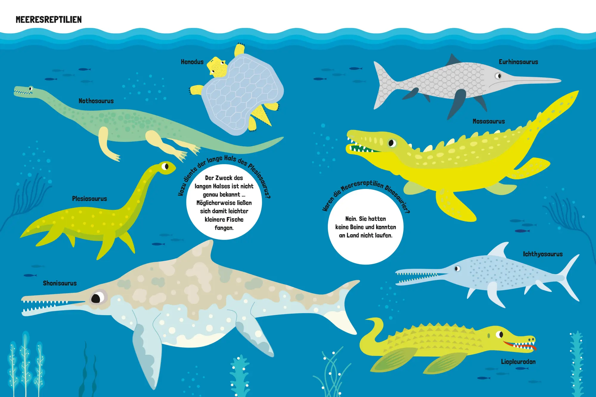 Bild: 9788863127478 | Mein großes Dinosaurierbuch | Claudia Theis-Passaro | Buch | 20 S.