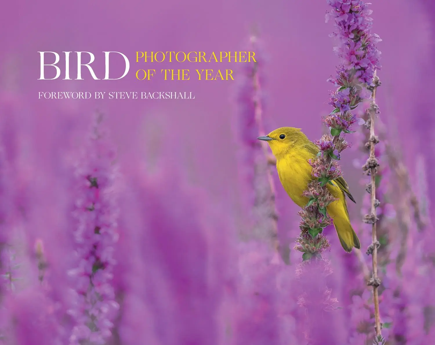 Cover: 9780008547578 | Bird Photographer of the Year | Collection 7 | Year | Buch | Gebunden