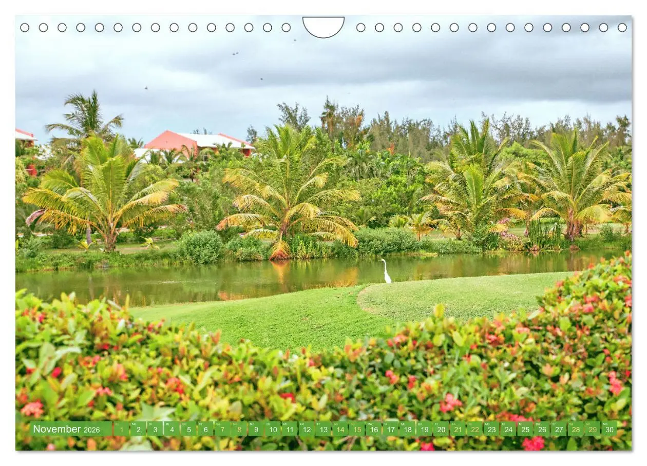 Bild: 9783516597578 | Einladung zum Golf (Wandkalender 2026 DIN A4 quer), CALVENDO...