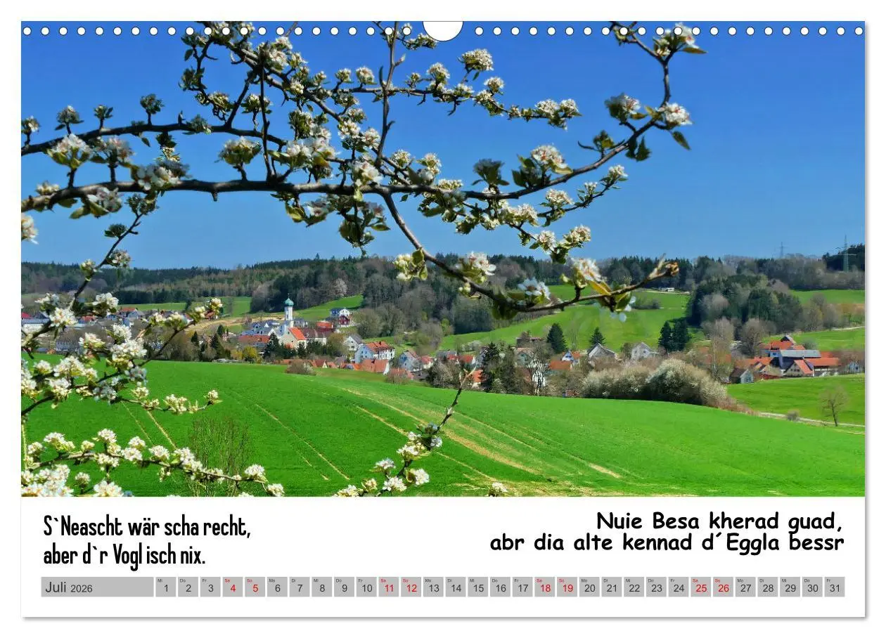 Bild: 9783457497678 | Schwäbische Sprichwörter 1 Wi ma hald so said! (Wandkalender 2026...
