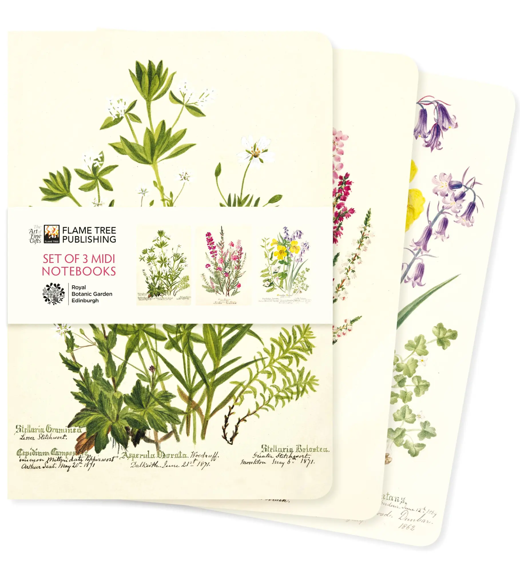 Cover: 9781804177778 | Royal Botanic Garden Edinburgh Set of 3 MIDI Notebooks | Publishing