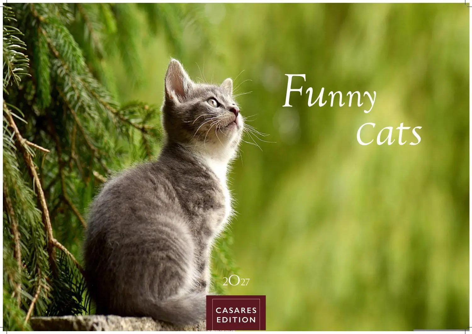 Cover: 9781835247778 | Funny Cats Kalender 2027 - Wandkalender Fotokalender Tierkalender...