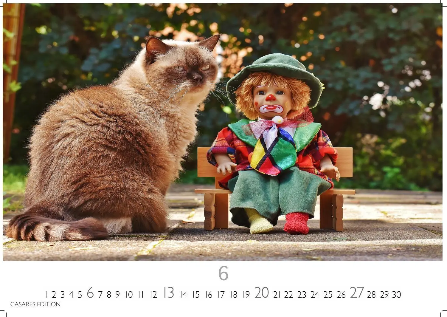Bild: 9781835247778 | Funny Cats Kalender 2027 - Wandkalender Fotokalender Tierkalender...