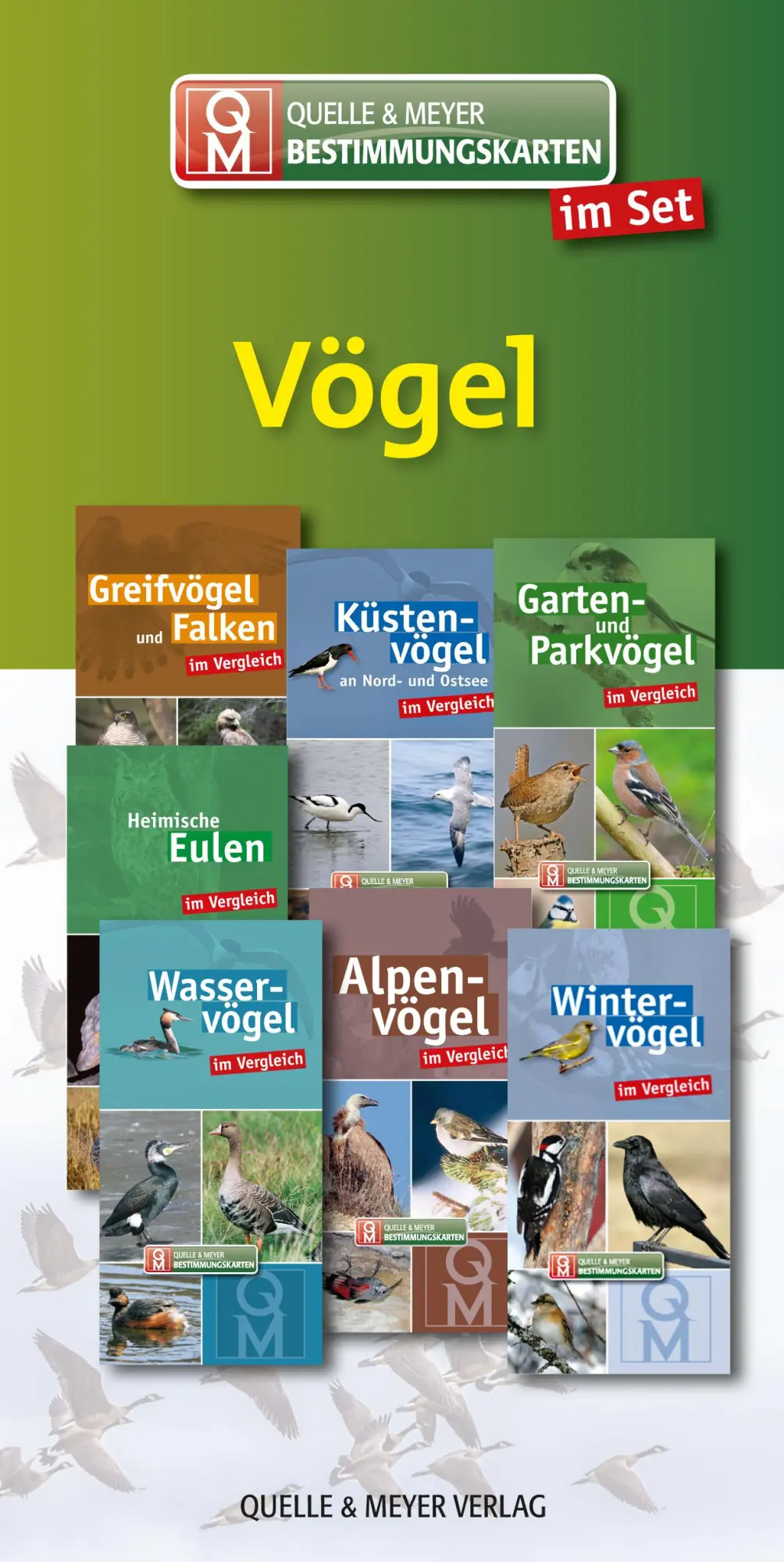 Cover: 9783494017778 | Bestimmungskarten-Set "Vögel" | Buch | 56 S. | Deutsch | 2018