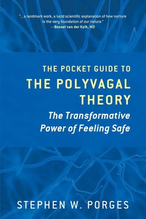 Cover: 9780393707878 | The Pocket Guide to the Polyvagal Theory | Stephen W Porges | Buch