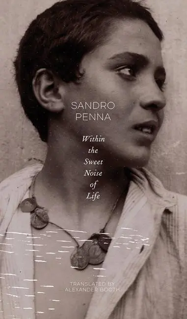 Cover: 9780857427878 | Within the Sweet Noise of Life | Selected Poems | Sandro Penna | Buch