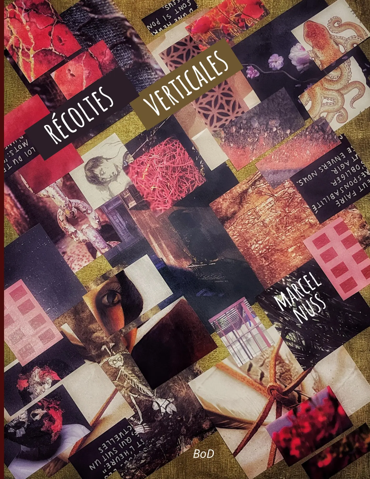 Cover: 9782322387878 | Récoltes verticales | Marcel Nuss | Taschenbuch | Une vie de poésie
