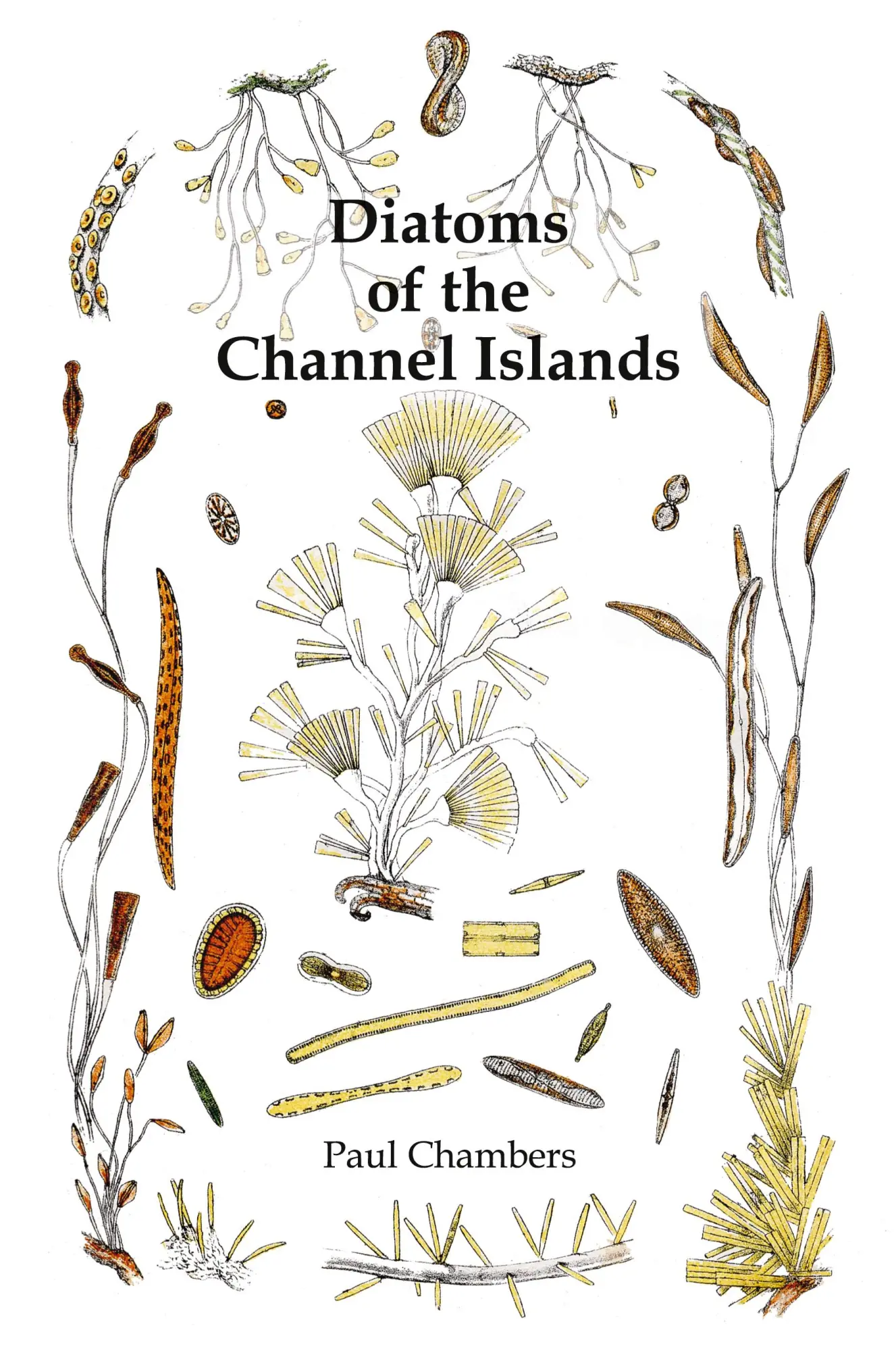 Cover: 9780901897978 | Diatoms of the Channel Islands | Paul Chambers | Taschenbuch | 2019