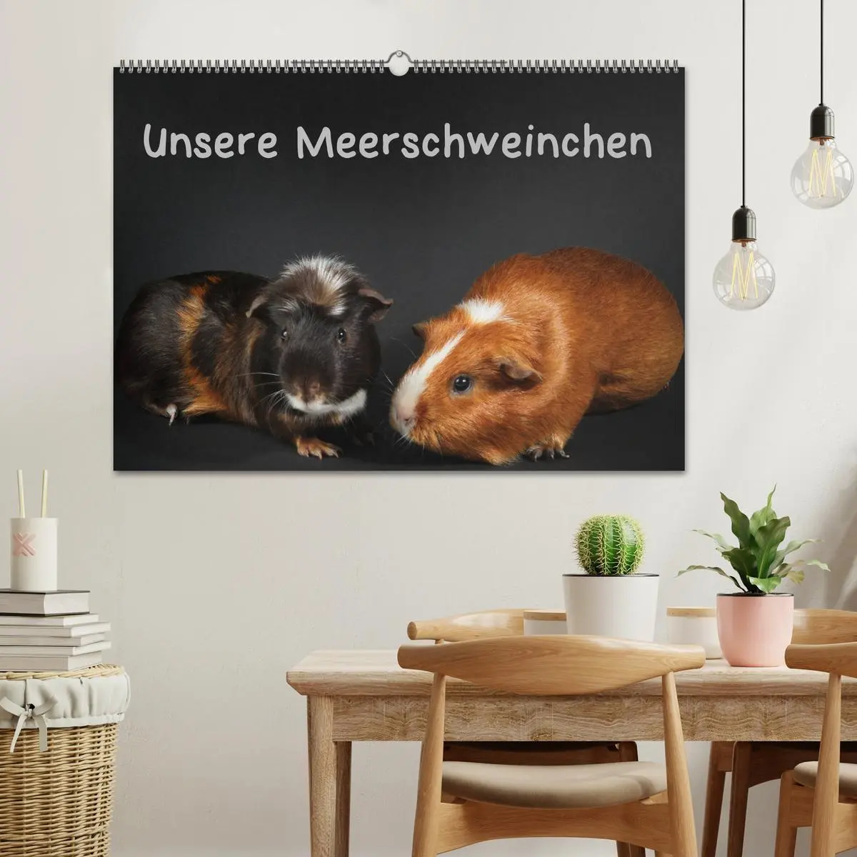 Bild: 9783435447978 | Unsere Meerschweinchen (Wandkalender 2025 DIN A2 quer), CALVENDO...