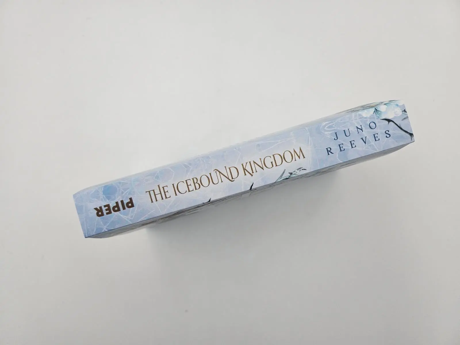 Bild: 9783492707978 | The Icebound Kingdom | Juno Reeves | Taschenbuch | 320 S. | Deutsch