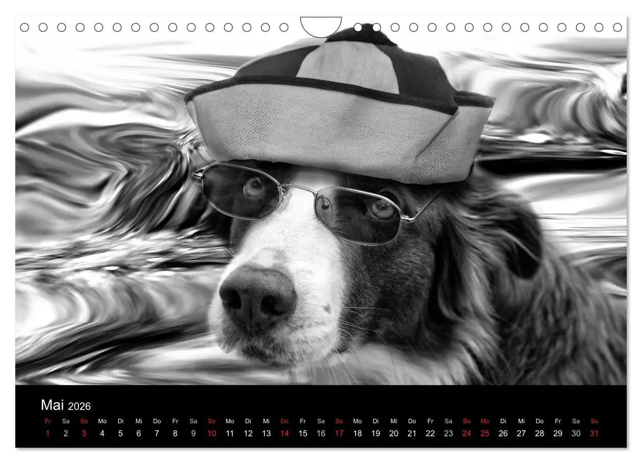 Bild: 9783516177978 | Hütehunde (Wandkalender 2026 DIN A4 quer), CALVENDO Monatskalender