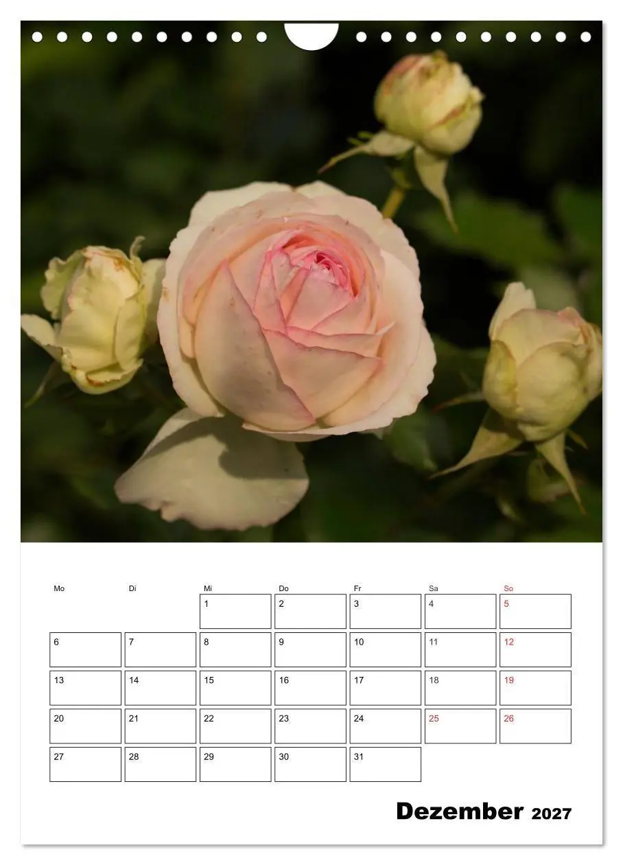 Bild: 9783569957978 | Zauberhafte Rosen (Wandkalender 2027 DIN A4 hoch), CALVENDO...